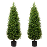 ECOLVANT pair front view showing ready-potted trees and curb appeal