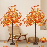 EEW front view of both 4FT maple trees showing warm glow and autumn charm