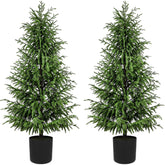 ENVEN front view in pot showing natural silhouette and instant decor