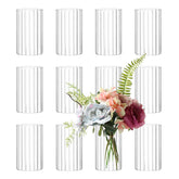 Etolies front view of 12-pack vases showing clean modern packaging and uniform set