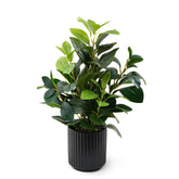 EZBOHO front view showing lifelike leaves and black ceramic pot for instant style