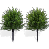 FAJUNZH topiary front view showing neat ball shape and instant curb appeal