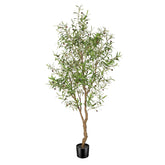 FEELEAD front view of full 7ft olive tree providing instant greenery