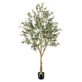 FEELEAD olive tree front view showing full 7ft height and natural presence