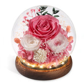 FIACO front view of preserved rose in glass dome showing elegant display