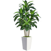 Flydeer 6FT dracaena front view showing tall greenery and clean planter, adds height