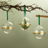 Gemscream clear ornament on tree showcasing contents and sparkle