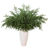 GIAUMA front view of 30-inch stems showing straight packaging and ready-to-use benefit