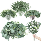 Giegxin front packaging showing full bundle and quantity benefit