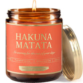 Got you a little something front packaging showing Disney Hakuna Matata gift appeal