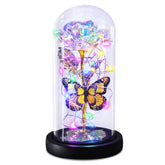 Greenke front view of glass dome rose showcasing elegant presentation and keepsake benefit