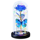 Greenke blue rose front view showing elegant dome and romantic gift appeal