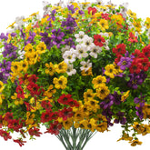 Grunyia front display of 16 colorful daisy bundles adds instant curb appeal