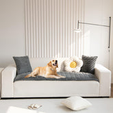 Gumfolk front view showing fitted slipcover protecting sofa