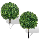 Hecaty front view of two topiary bushes showing full decorative effect