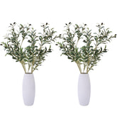 Heleze front view of four olive branches showing full-length realism and texture
