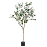 Hobyhoon olive tree front view showing lifelike foliage and elegant silhouette