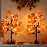 hogardeck front pair overview showing warm glow and fall styling benefits