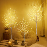 HOLILLUMA front view of three lighted birch trees adding warm glow