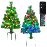 HOLILLUMA front view of two lit pathway trees showing festive curb appeal