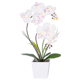 HOMESEASONS front view of white LED orchid arrangement for elegant decor