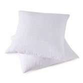 HOMESJUN front view of both 20x20 pillow inserts showing shape and loft benefit