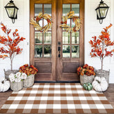 Homydecor front view coffee and white plaid rug enhances curb appeal