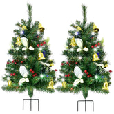 HOYECHI front view of both trees adding instant curb appeal