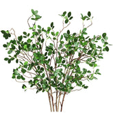Htmeing front view of five eucalyptus branches showing full set and natural look
