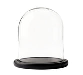 HUOZHI front view clear cloche highlighting clean display