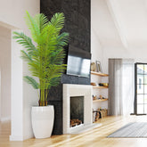 HZXGCP 6ft palm front view in white pot showing tropical décor benefit