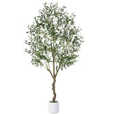 Jocoevol front view shows full 6FT faux olive tree adding instant greenery