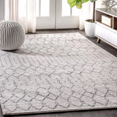 JONATHAN Y front view of 4x6 cream gray rug showing full pattern and scale benefits