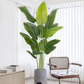 Keeplush front view showing full 6.6ft plant and dramatic silhouette for statement decor