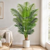 Keeplush front view full-height 5ft palm adds tropical ambiance