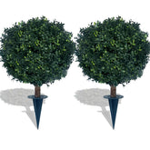 kyesyes front view showing full foliage and instant curb appeal