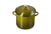 Le Creuset olive stockpot front view showing vibrant enamel and capacity benefit
