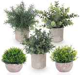 Lemonfilter front view of five potted faux eucalyptus, shows complete set and decor benefit