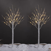 LIGHTSHARE birch tree front view showing warm white glow and natural look
