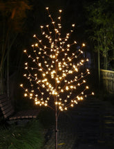 LIGHTSHARE cherry blossom tree front view showing warm glow benefit