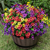 Lnoicy front view showing 20 bundled artificial flowers and colorful arrangement benefits