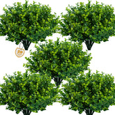 Lnoicy front packaging showing 20 boxwood bundles, instant green decor