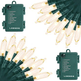 LOENDE front view of packaged 2-pack string lights showing length and LEDs, easy setup benefit
