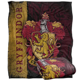 LOGOVISION front view showing Gryffindor crest and vibrant colors, perfect for display