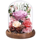 lovenfold glass dome front view showing elegant preserved roses and lasting beauty