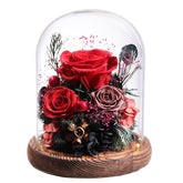 lovenfold front view of preserved red rose dome showing elegant gift-ready presentation