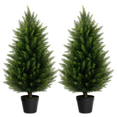LuceAlberi front view of two 3FT cedar topiaries adding curb appeal