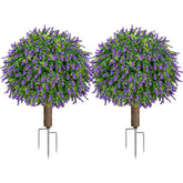 LuceAlberi front view of two lavender boxwood topiary balls adding instant curb appeal