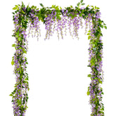 Lvydec front packaging showing four light purple wisteria strands and total length benefit