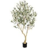 LYERSE olive tree front view showing lifelike foliage and realistic presence
